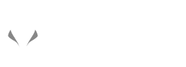 VEIL